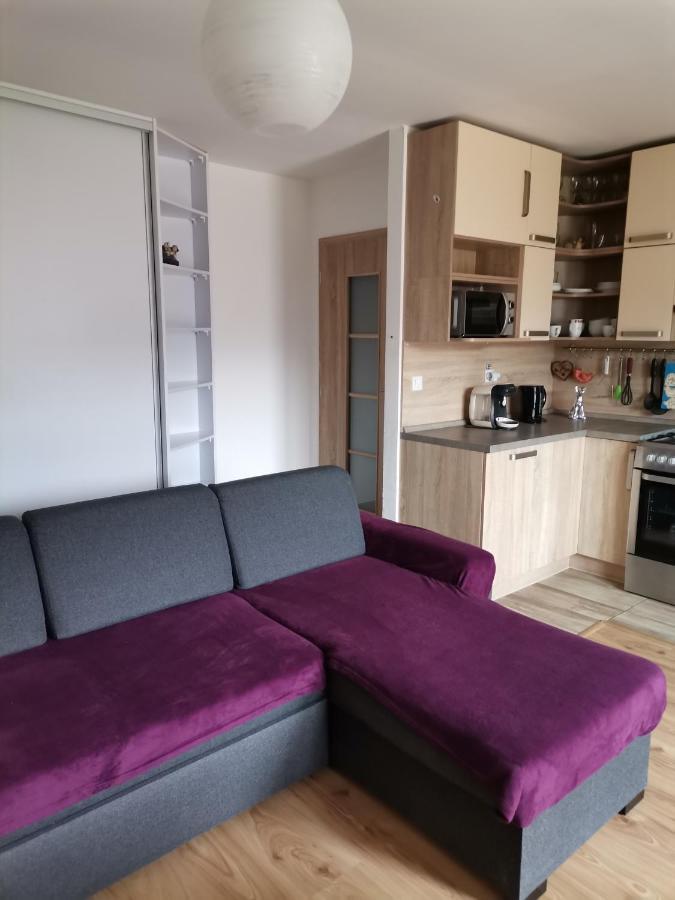 Apartman Family S Vyhladom Na Choc ลุคชกี ภายนอก รูปภาพ